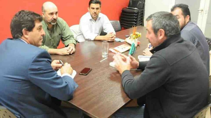 Preocupa la cosecha olivícola en La Rioja