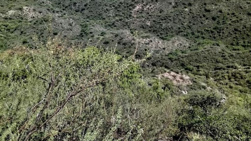 Intenso trabajo de operarios de la EC SAPEM en el cerro Ancasti