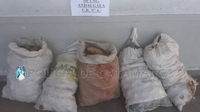 Aprehenden a dos mujeres, resguardan a una niña, y secuestran dos autos