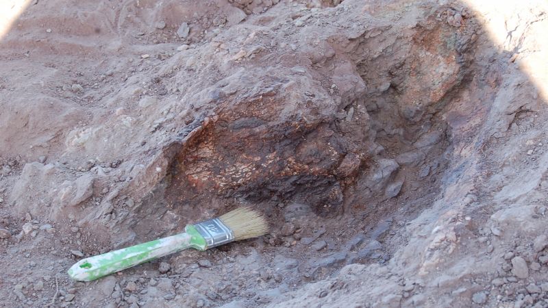 Descubren una nueva especie de dinosaurio de 110 millones de años