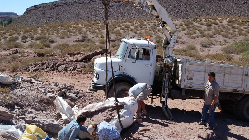 Descubren una nueva especie de dinosaurio de 110 millones de años