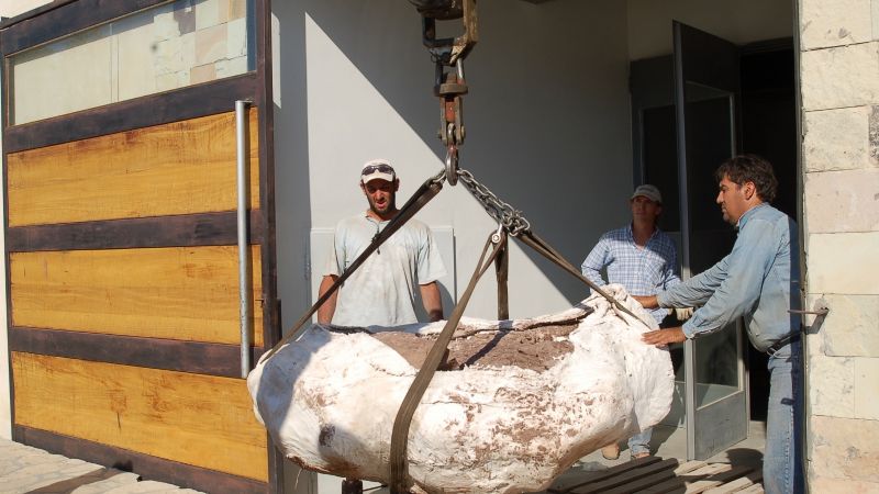 Descubren una nueva especie de dinosaurio de 110 millones de años