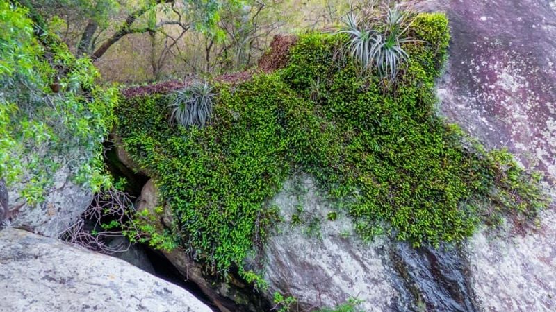 Maravillosas cascadas en Paclín