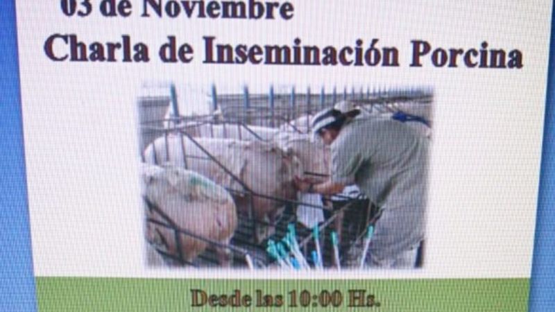 Este fin de semana se realiza la Expo Productiva en Icaño