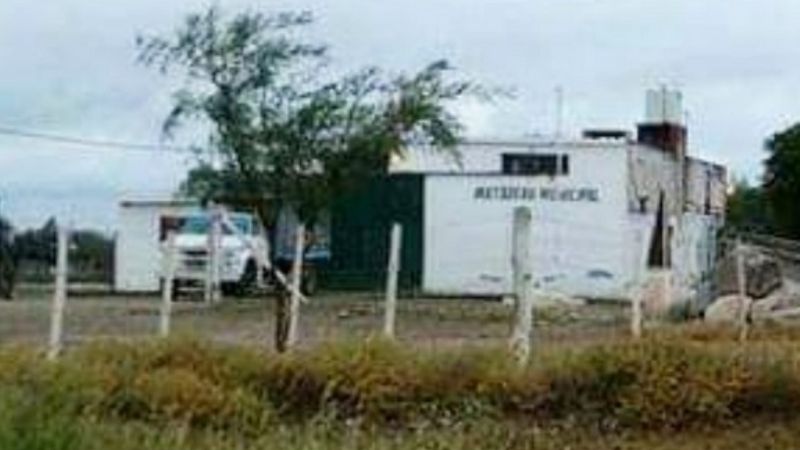 Tras accidente, camión del Matadero Municipal sigue secuestrado