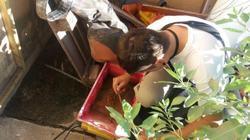 II Monitoreo Entomológico de Vigilancia en Catamarca