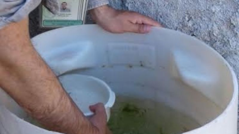 II Monitoreo Entomológico de Vigilancia en Catamarca