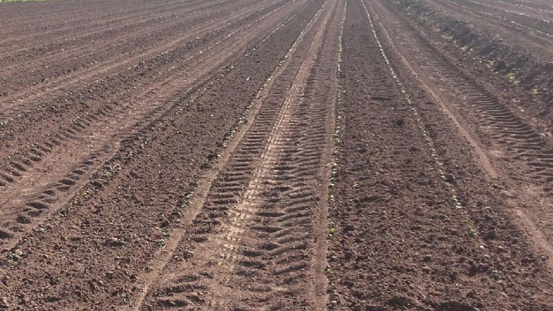 Aportan millones de pesos a productores tinogasteños y lapaceños