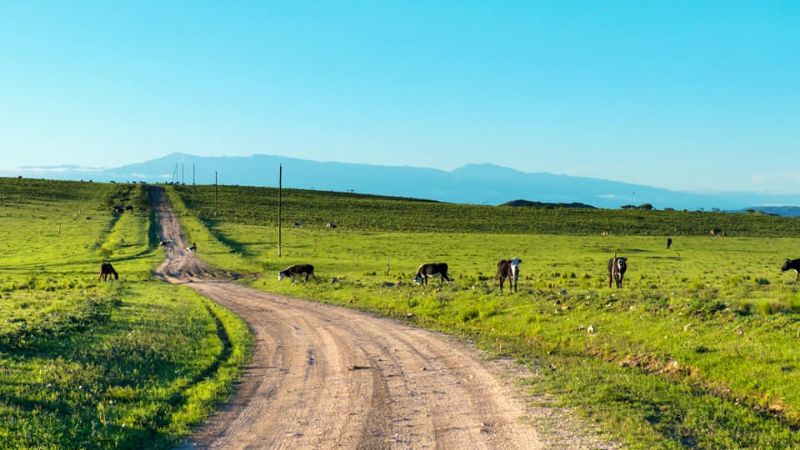 Una maravilla las praderas de Ancasti