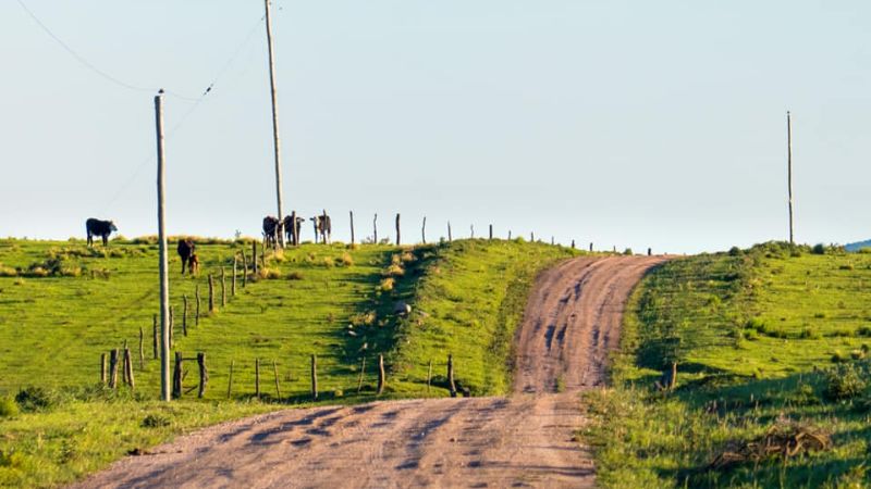 Una maravilla las praderas de Ancasti
