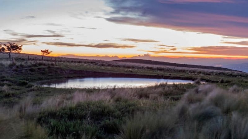 Una maravilla las praderas de Ancasti
