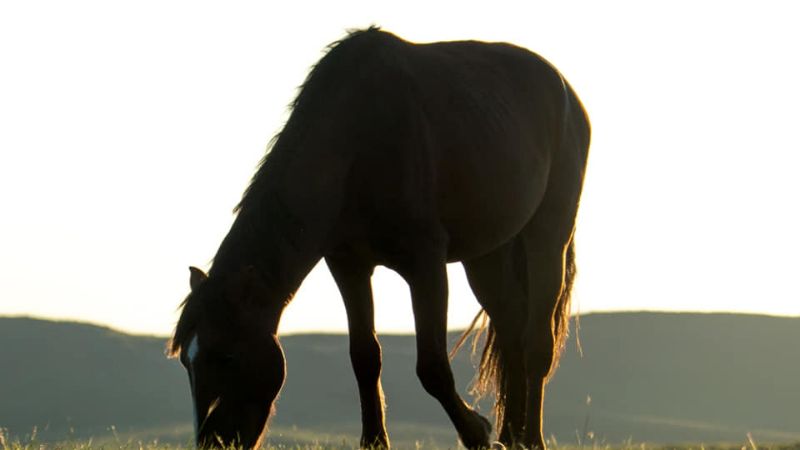 Una maravilla las praderas de Ancasti