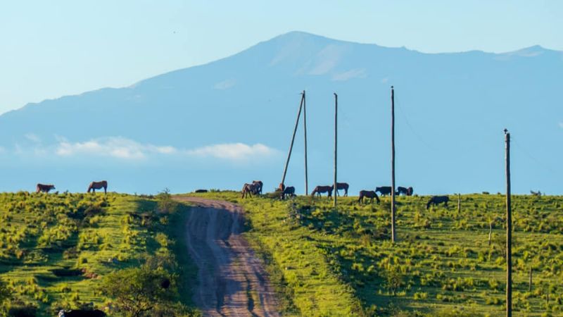 Una maravilla las praderas de Ancasti