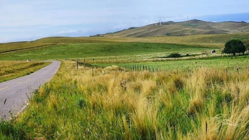 Una maravilla las praderas de Ancasti