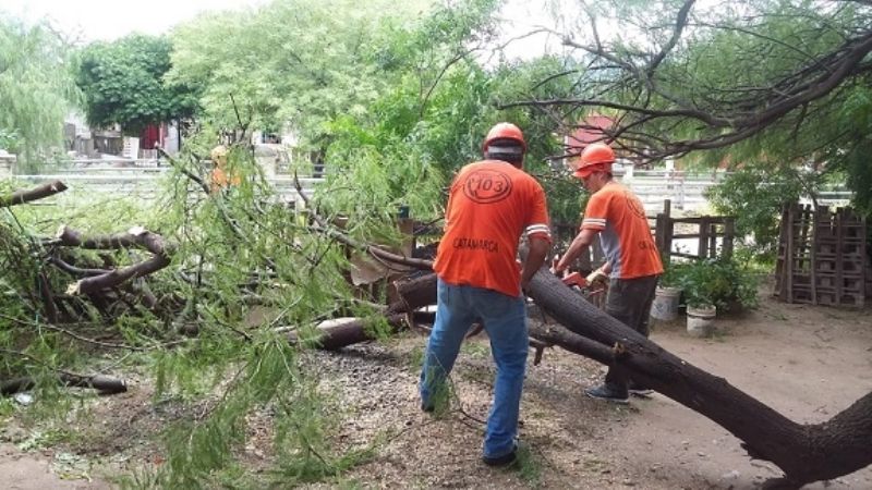 Imágenes del paso de la tormenta de viento, tierra y agua