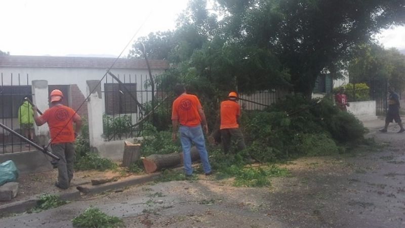 Imágenes del paso de la tormenta de viento, tierra y agua