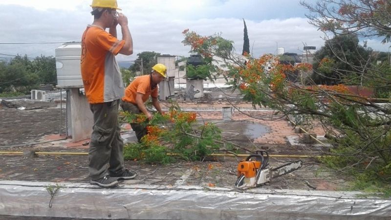 Imágenes del paso de la tormenta de viento, tierra y agua