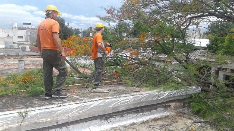 Imágenes del paso de la tormenta de viento, tierra y agua