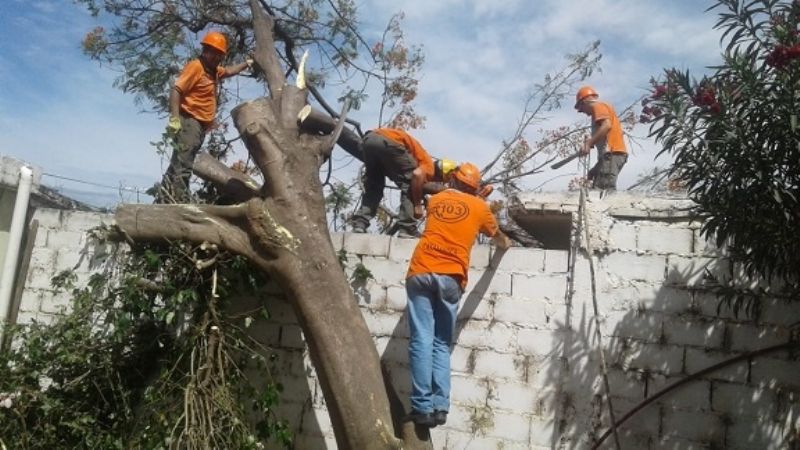 Imágenes del paso de la tormenta de viento, tierra y agua