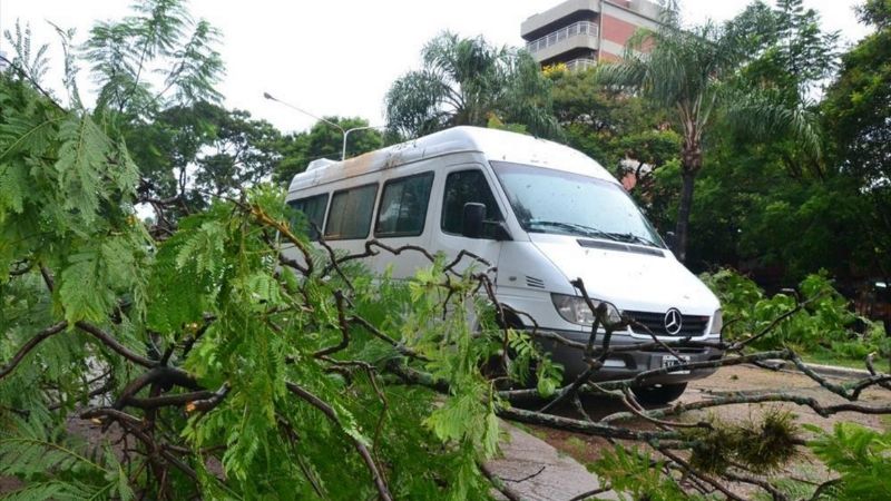 Combi del Ministerio de Educacion que llevaba alumnos, sufrió la caída de árbol