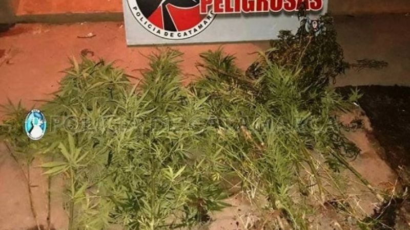 Desbaratan kioskos de venta de droga en Valle Viejo