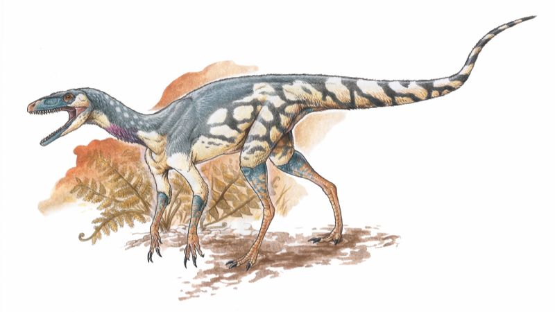 Paleontólogos argentinos descubren un diminuto abuelo de los dinosaurios