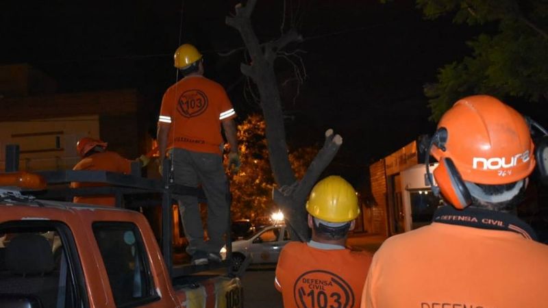 En el Día de la Defensa Civil, retiraron árboles caídos por el temporal