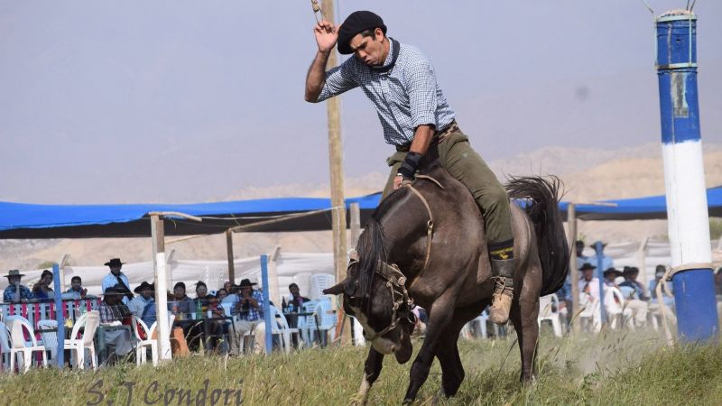Nueva edición del Festival de Doma y Folklore en Santa María