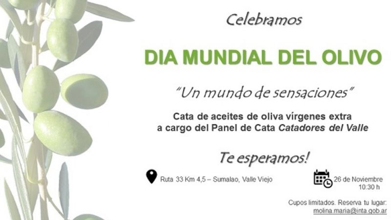 Día mundial del aceite de oliva: un mundo de sensaciones