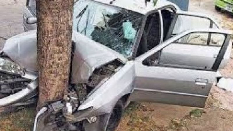 Automovilista chocó contra un árbol y una mujer terminó herida