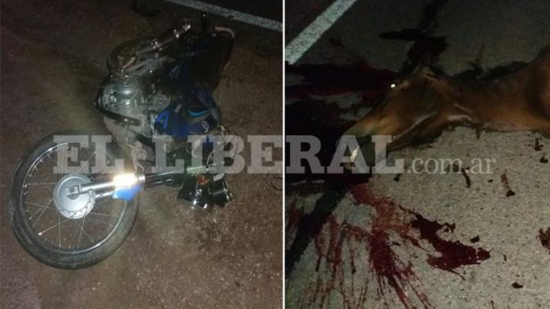 Dos jóvenes perdieron la vida al chocar contra un caballo en Santiago