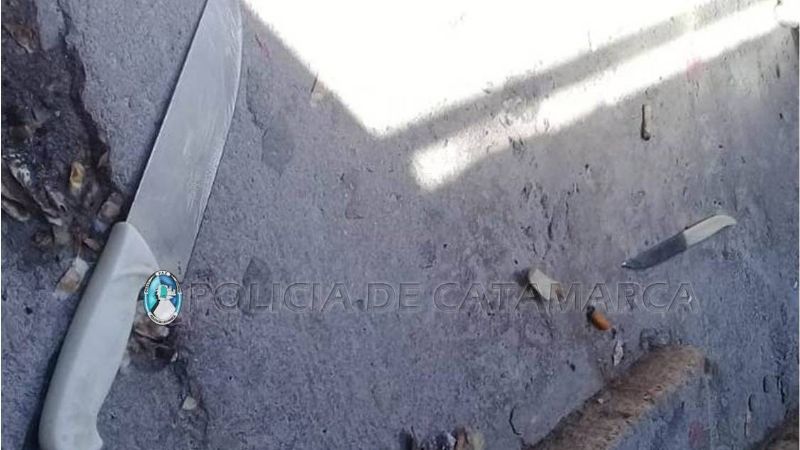 Le pidió dinero a su pareja en un motel y los policías le encontraron dos cuchillos