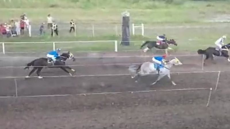 Americano, el caballo cata es campeón argentino