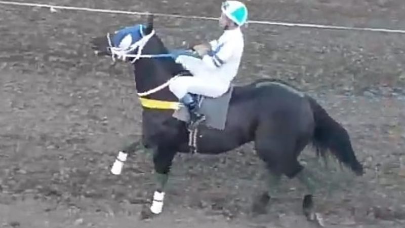 Americano, el caballo cata es campeón argentino
