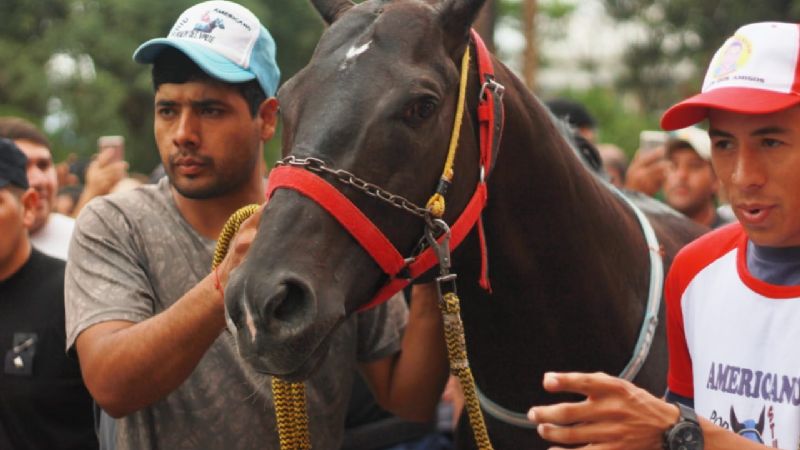 Americano en el Paseo de la Fe