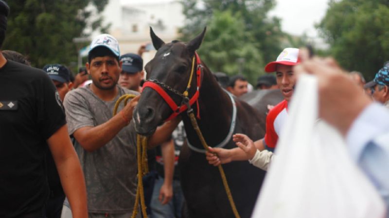Americano en el Paseo de la Fe
