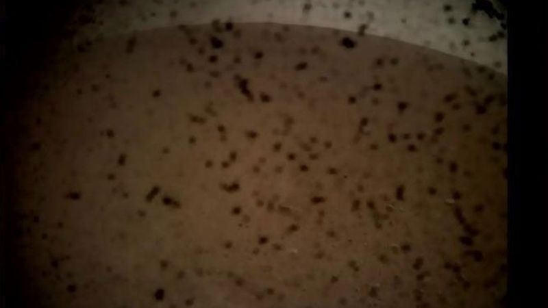 La NASA publicó las primeras fotos de Marte