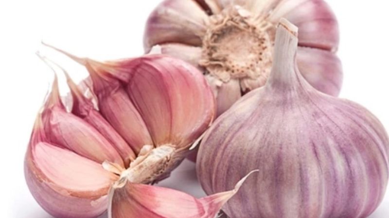 El ajo en alerta: peligra el 50% de la producción mendocina