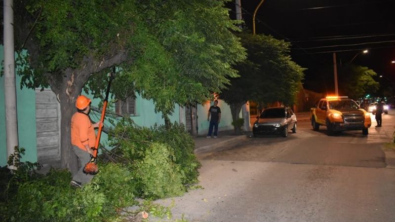 Retiraron un árbol caído sobre una vivienda