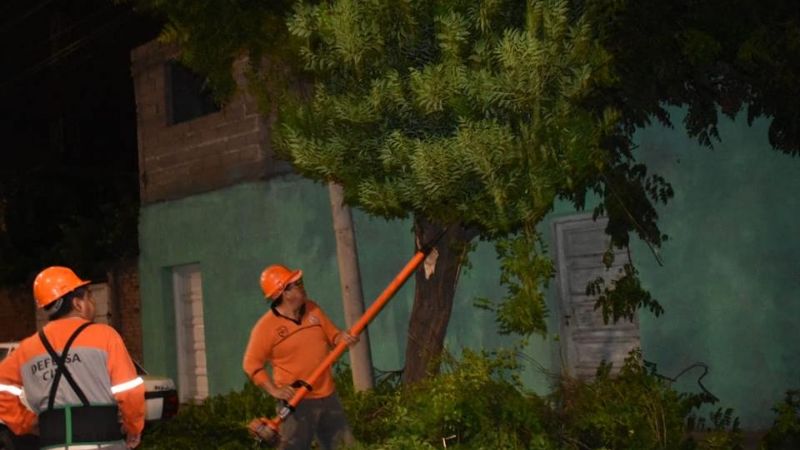 Retiraron un árbol caído sobre una vivienda