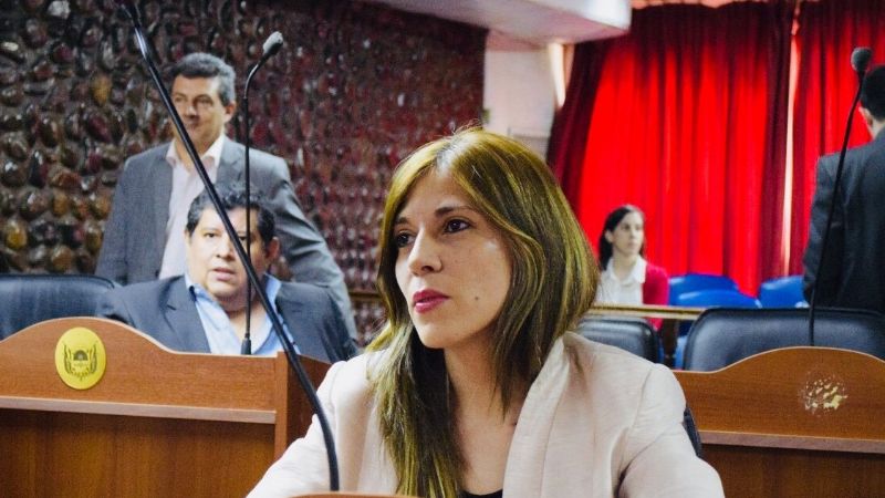 Diputados rechazaron otra vez el proyecto del bono