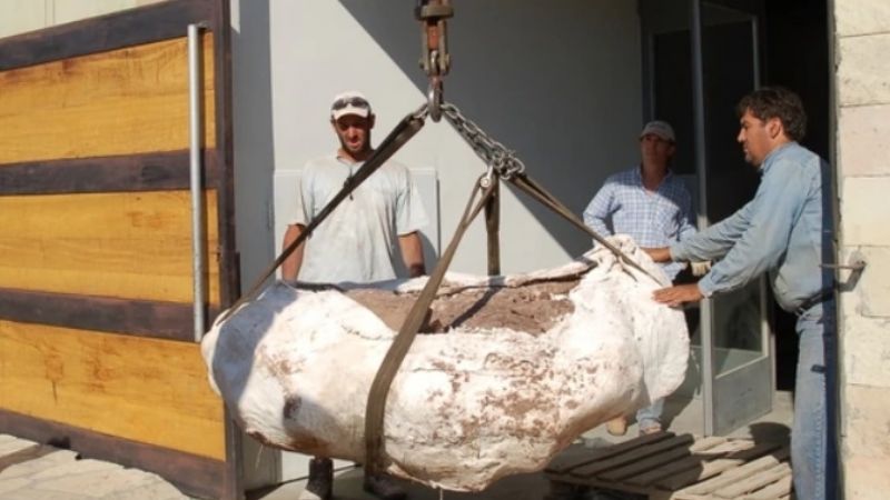 Hallan una nueva especie de dinosaurio en Neuquén