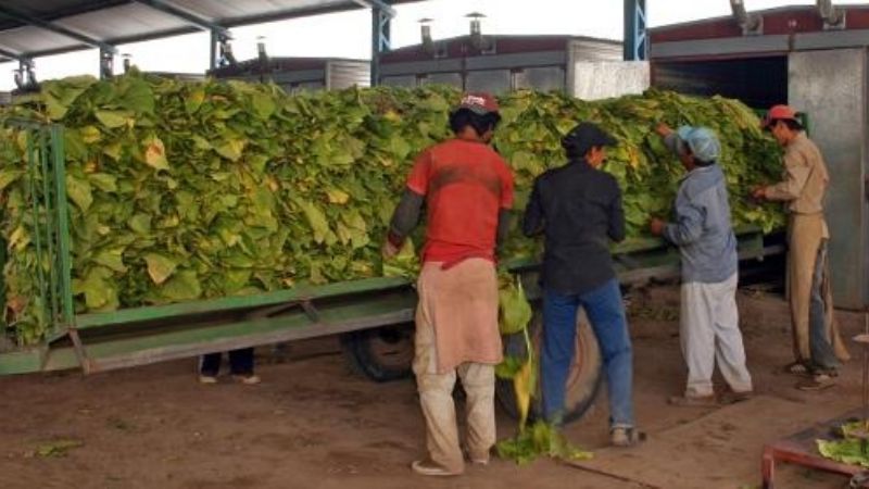 Tabacaleros se unieron para reclamar a la Nación