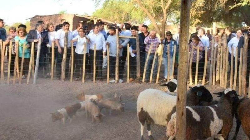 Producción asistió a familias de productores ovinos de Tinogasta