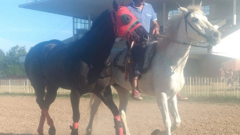 Americano se alista en el Hipódromo de Las Flores