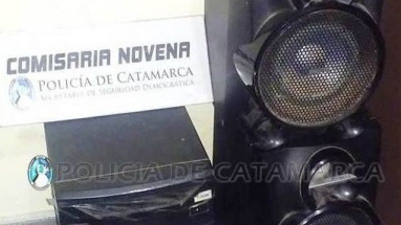 Secuestran un minicomponente y un planta de marihuana