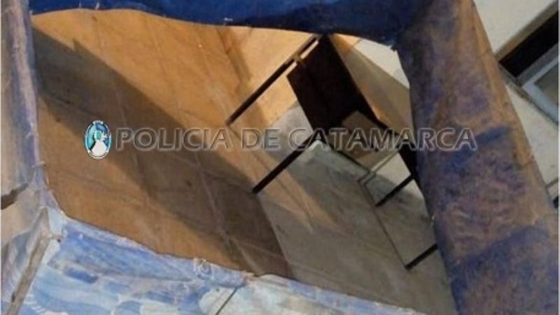 Secuestran un gallo de riña