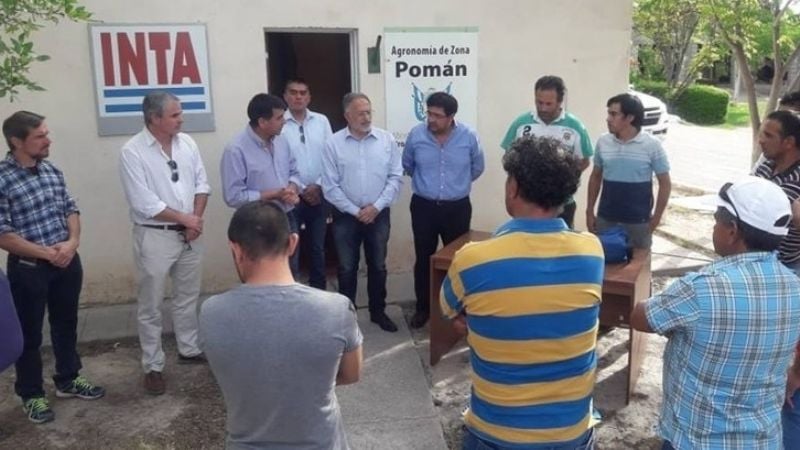 Aportes del PROINAGRO para desempleados de Agro Olivo