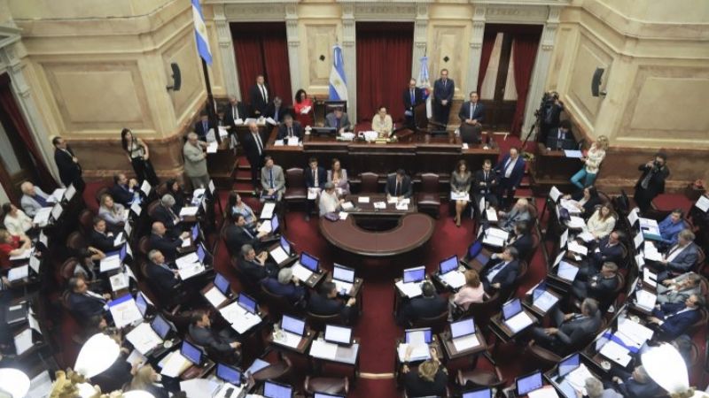 El Senado aprobó una decena de leyes en un trámite exprés
