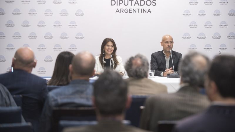 Presentaron en el Congreso la obra de Caravati